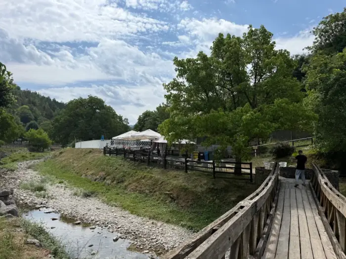 Zona verde del camping rodeada de árboles y montaña